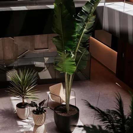 Toctoc Olof Palme - * Las Palmas de Gran Canaria