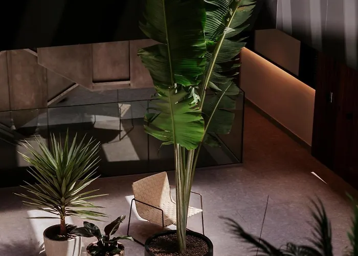 Toctoc Olof Palme - * Лас-Пальмас-де-Гран-Канарія